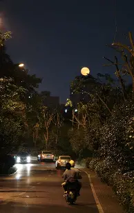 今晚突围战来临，奥兰多魔术围绕法甲迎来里程碑，话题不断，更衣室氛围转暖(奥兰多魔术主场)